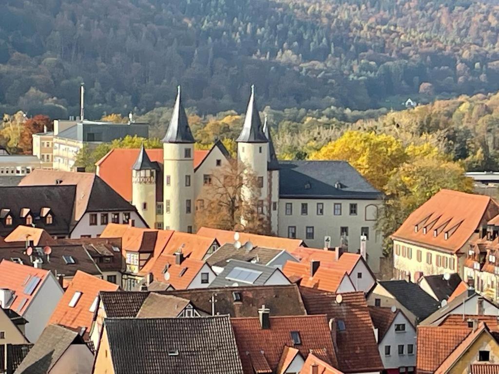 Апартаменты Wohnen Im Springerhof Lohr am Main Экстерьер фото